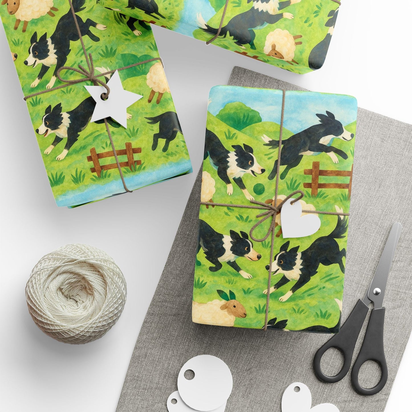 Collie Jollies