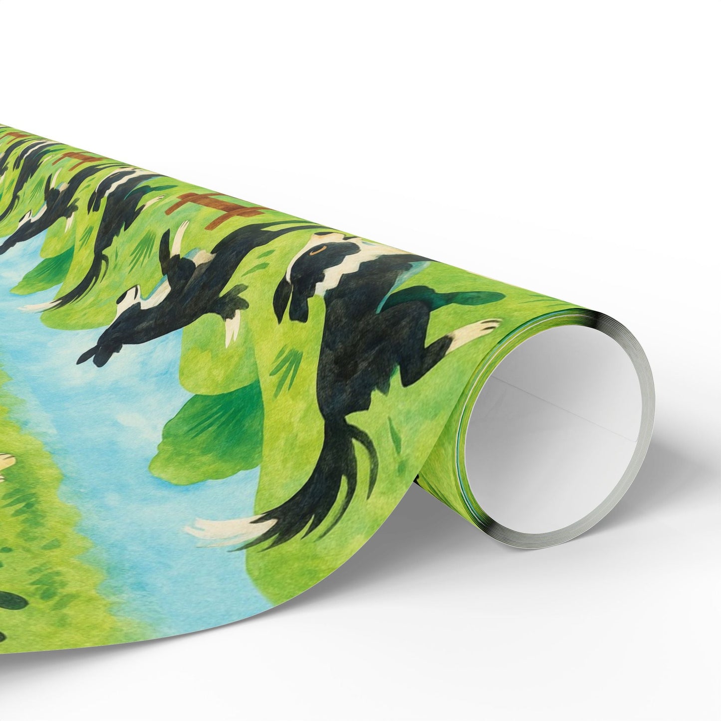 Collie Jollies