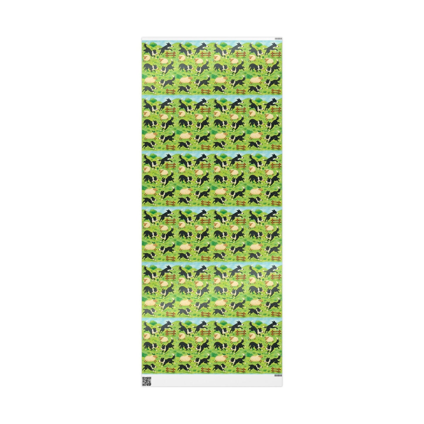 Collie Jollies